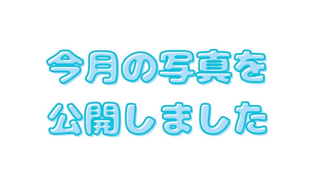 1月の写真を公開しました