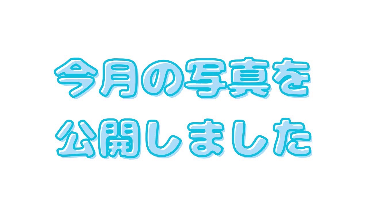 1月の写真を公開しました